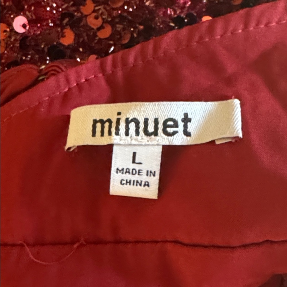 Minuet Red V-Neck dress - - Picture 15 of 16